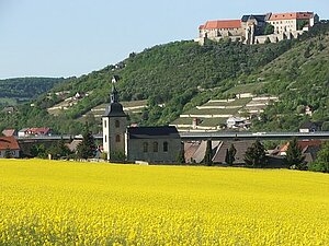 Haus in Freyburg kostenlos bewerten